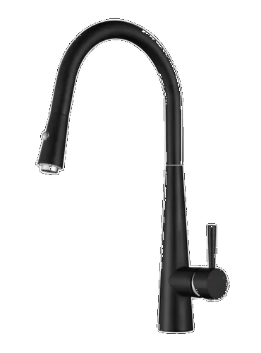 Kitchen Faucet 2818